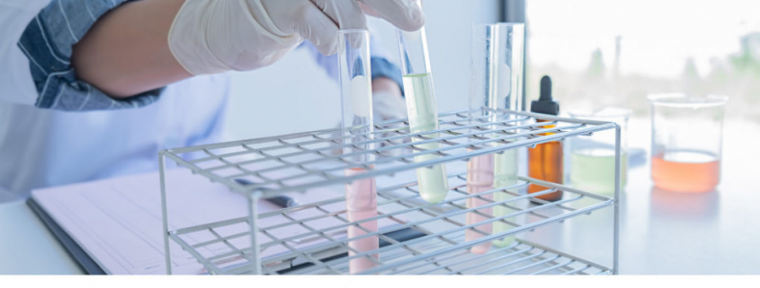 eic pathfinder para investigadores cientificos